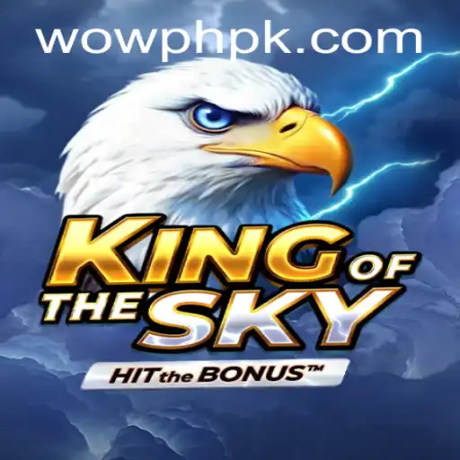 Exploring the Immersive World of KingOfTheSky